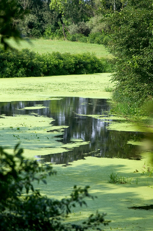 Panyola Magyar Természetvédők Szövetsége