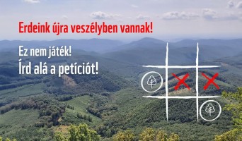 Legyen vége az értelmetlen pusztításnak! Állj ki a magyar erdőkért!