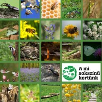 Egy zsebkendőnyi kertdarab is elég, ha tenni akarunk magunkért és az élővilágért - A Magyar Természetvédők Szövetségének A mi sokszínű kertünk kampánya mindenkinek segít