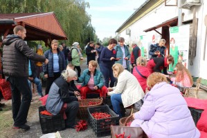 Indítsunk párbeszédet az Európai Zöld Megállapodás és a Közös Agrárpolitika mentén! 