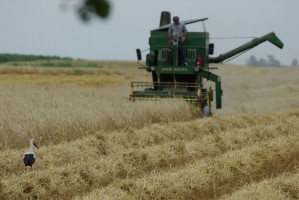 Elsőbbséget a közösségi földtulajdonnak