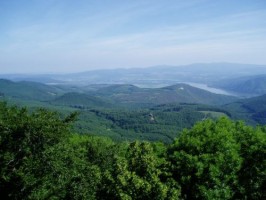 Meglepő kormányzati válasz a nemzeti park igazgatóságok vagyonkezeléséről