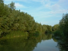 Vizes élőhelyek vízpótlásának javítása a Bodrogzug területén