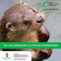 Megvannak a döntős csapatok