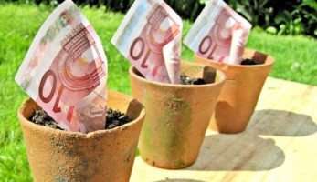 Az Európai Beruházási Bank váljon a zöld és éghajlatbarát helyreállítás mozgatórugójává