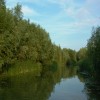 Fű alatt buktathatja meg a magyar kormány a természet helyreállításáról szóló uniós rendeletet