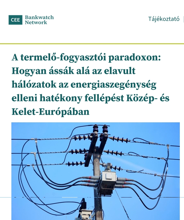 A termelő-fogyasztói paradoxon