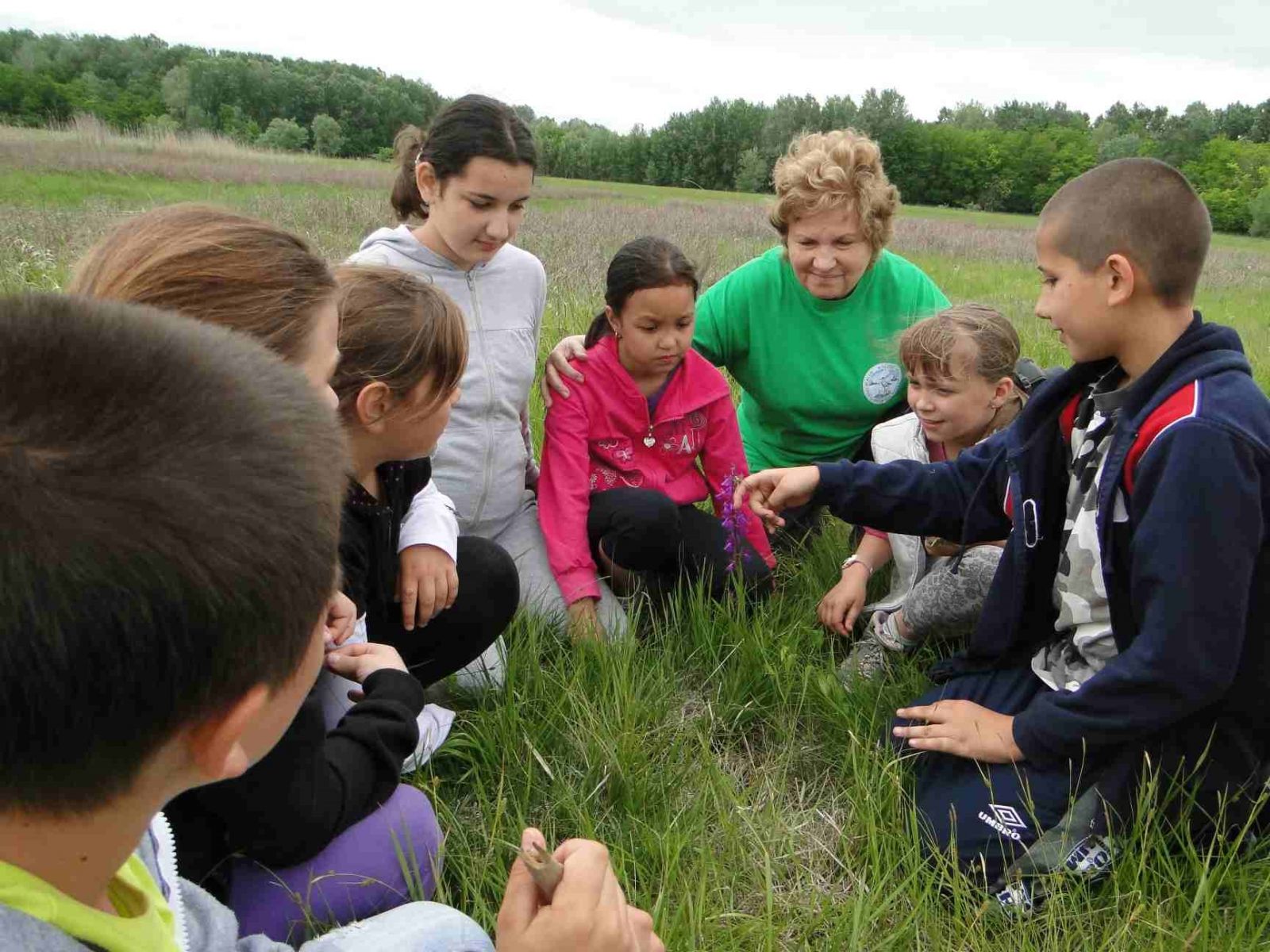 A Magyar Természetvédők Szövetsége szerint is meg kell újítani és erősíteni az oktatási rendszert