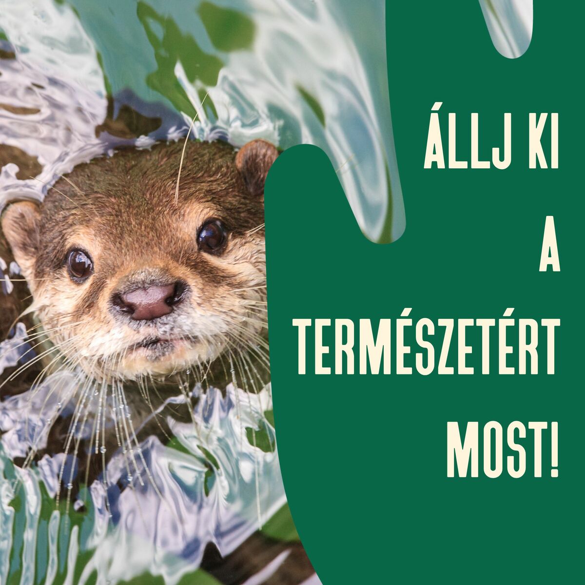 El a kezekkel a természettől! - Üzenjünk a döntéshozóknak!