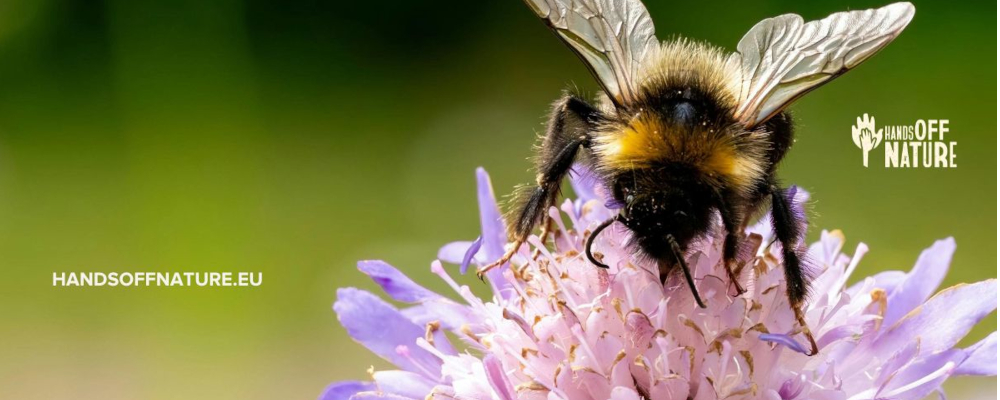 El a kezekkel a természettől - Hands off Nature!