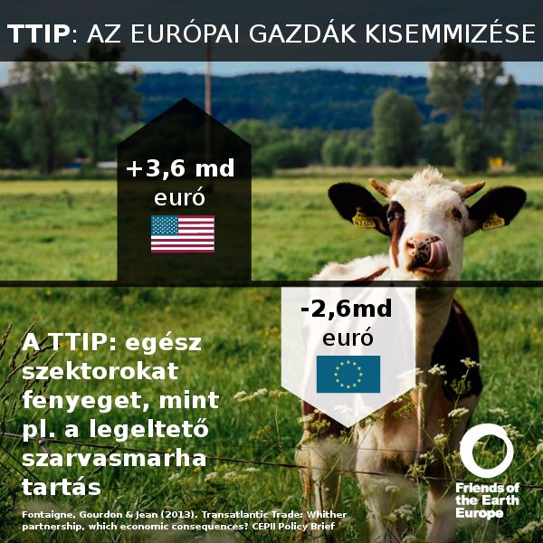 Az EU-USA szabadkereskedelmi egyezmény veszélybe sodorhatja az európai mezőgazdaságot