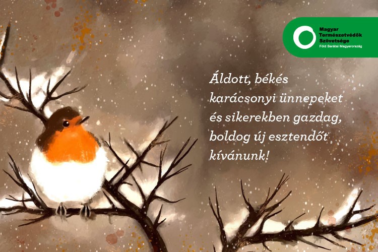 Áldott karácsonyt!